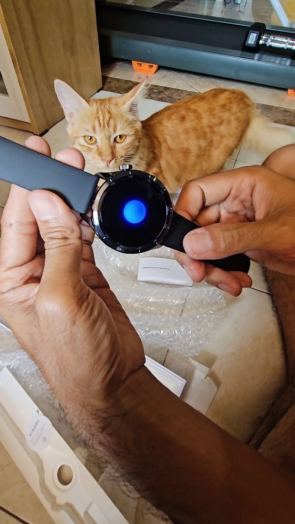 Review dari sawitrikrisnayanti