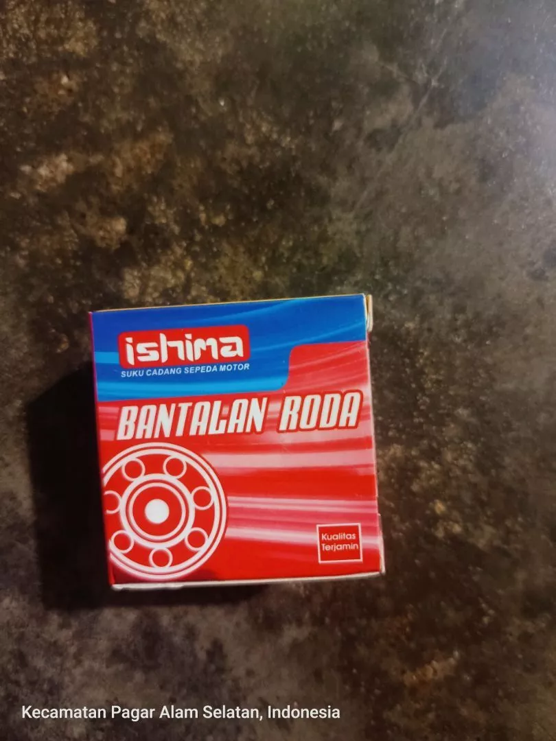 Bearing Motor ISHIMA
