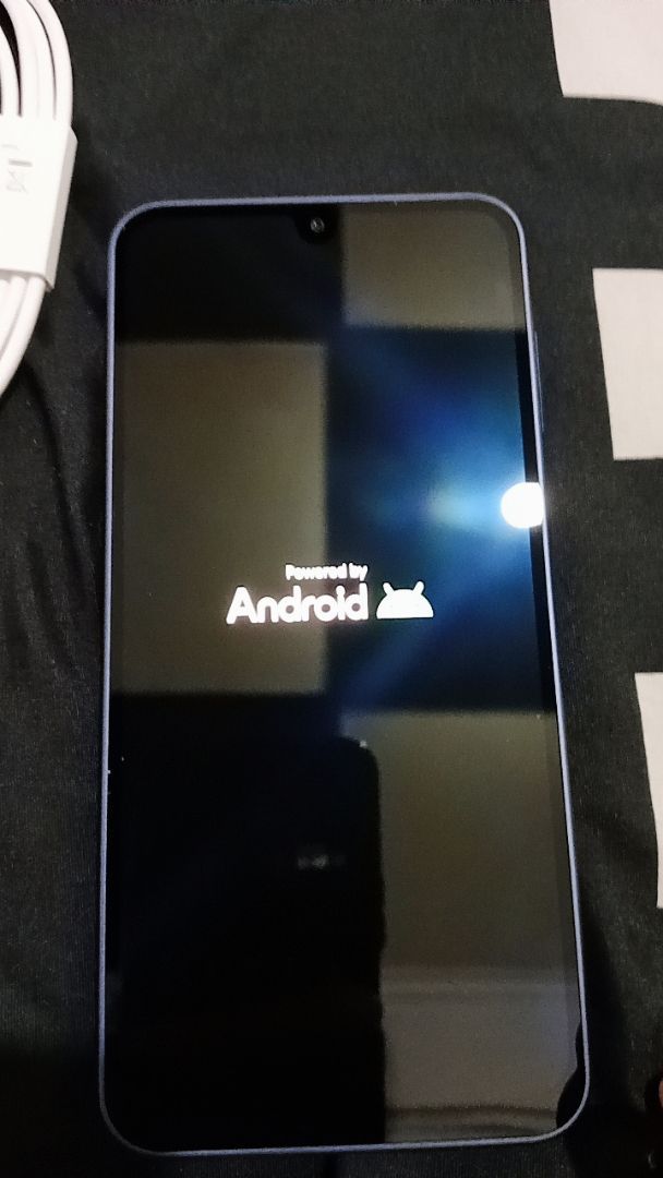 Review dari damayantidae