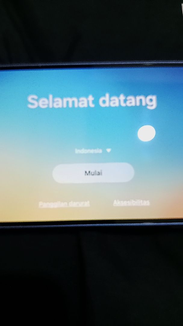 Review dari damayantidae