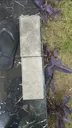 Paving Surabaya