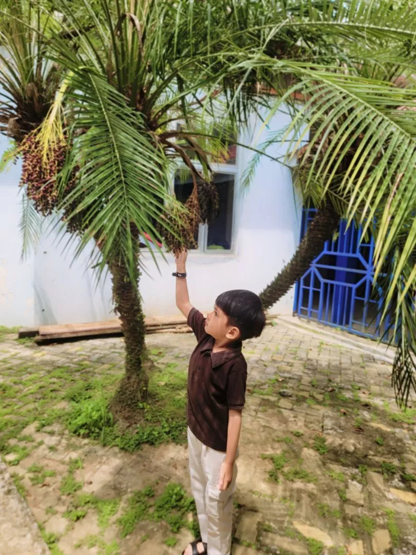 Detail tekstur jalinan benang rajut knit lembut dan konstruksi daun kerah wangki DINODAY