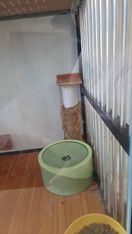 Foto dari pembeli