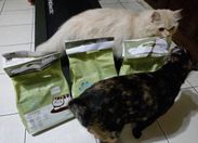 Foto dari pembeli
