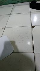 Foto dari pembeli