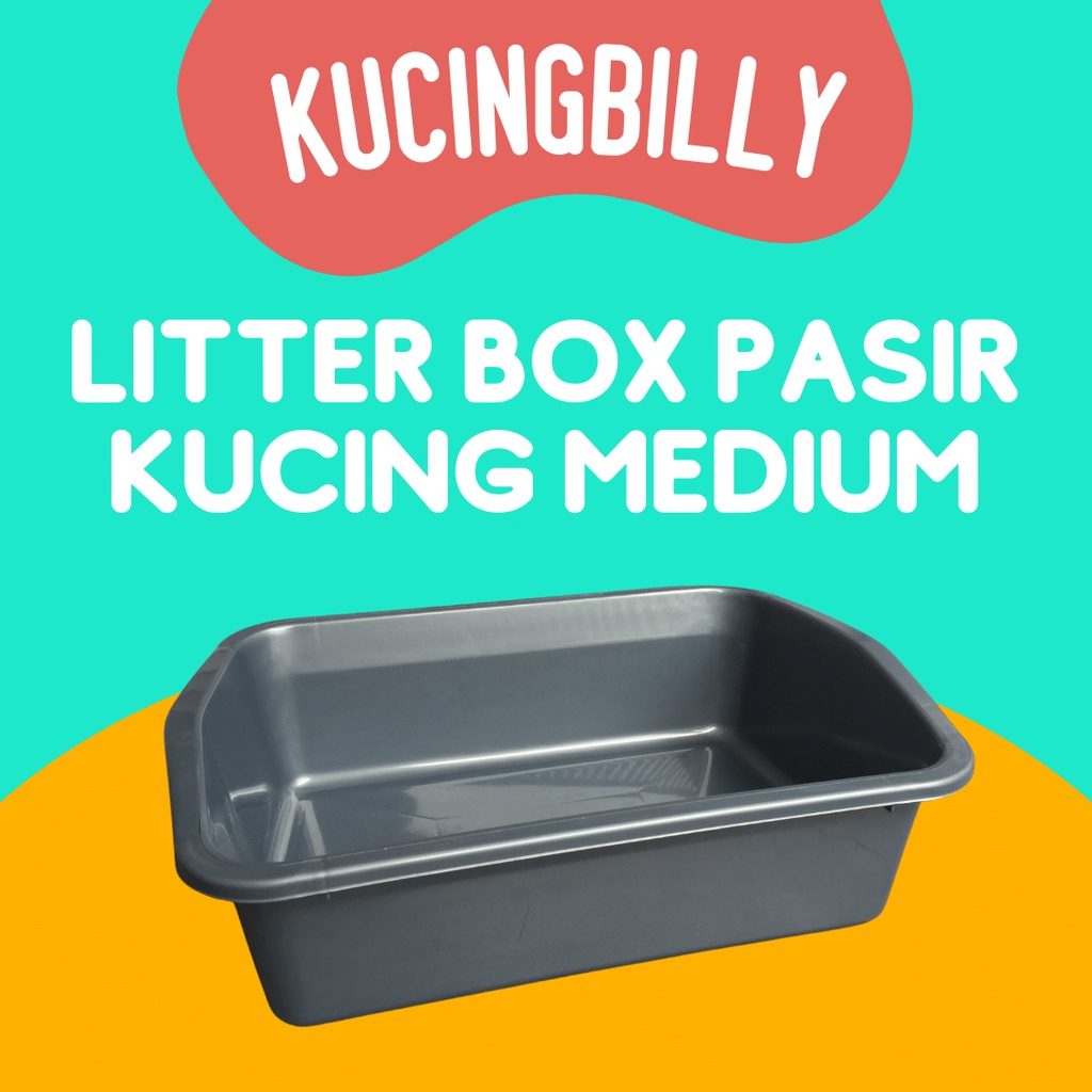 Harga 2024 litter box