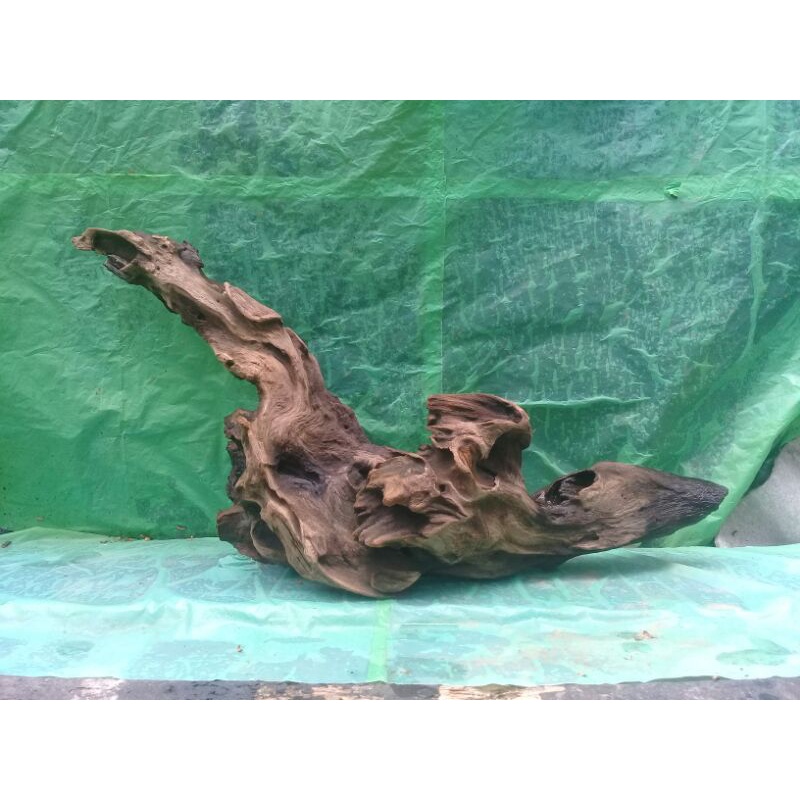 Jual Kayu rentek sudah tenggelam barang real pick sesuai pesanan ...