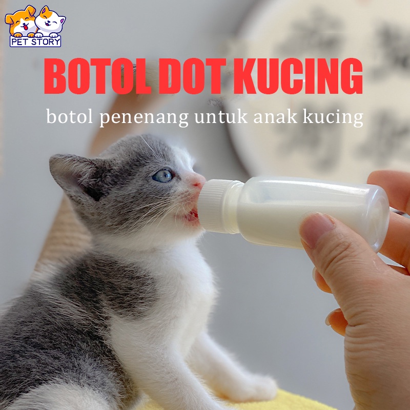 Jual botol dot kucing dan susu kucing Kitten Botol Susu Kucing dan Susu