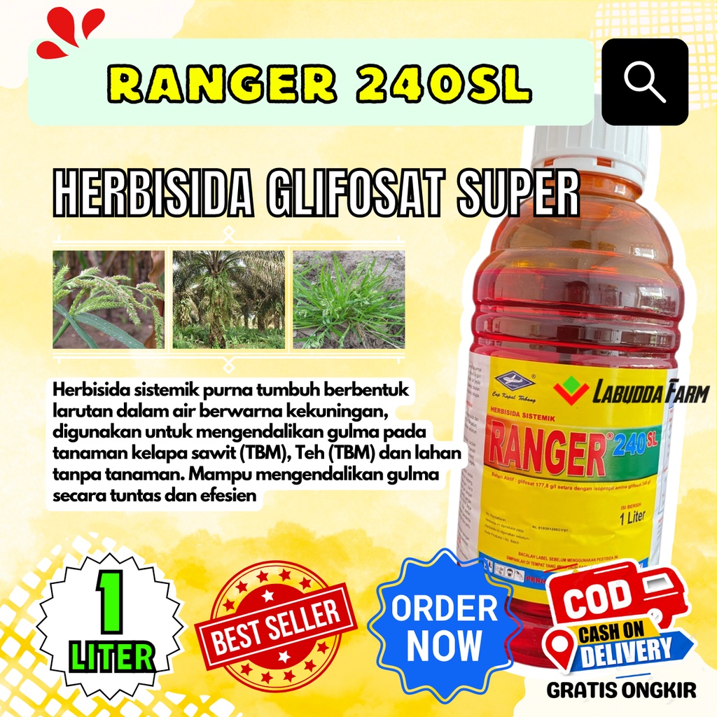 Jual Racun Rumput Herbisida Ranger 240sl Obat Pembasmi Rumput Sampai