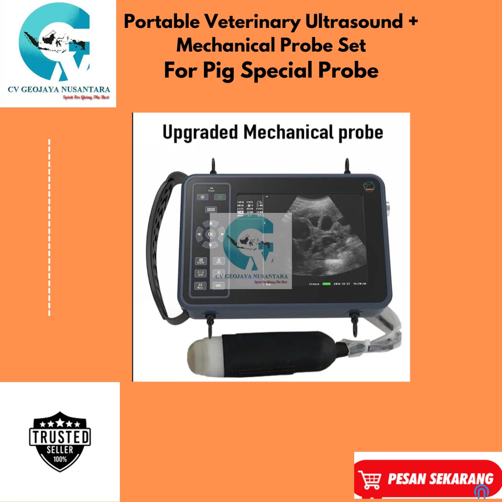 Jual Portable Veterinary Ultrasound + Mechanical Probe Set For Pig ...