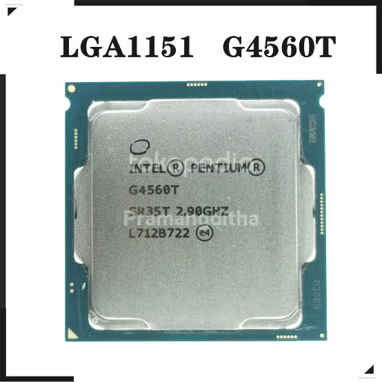 Jual PROCESSOR INTEL PENTIUM G4560T TRAY LGA 1151 KABY LAKE MINI PC ...
