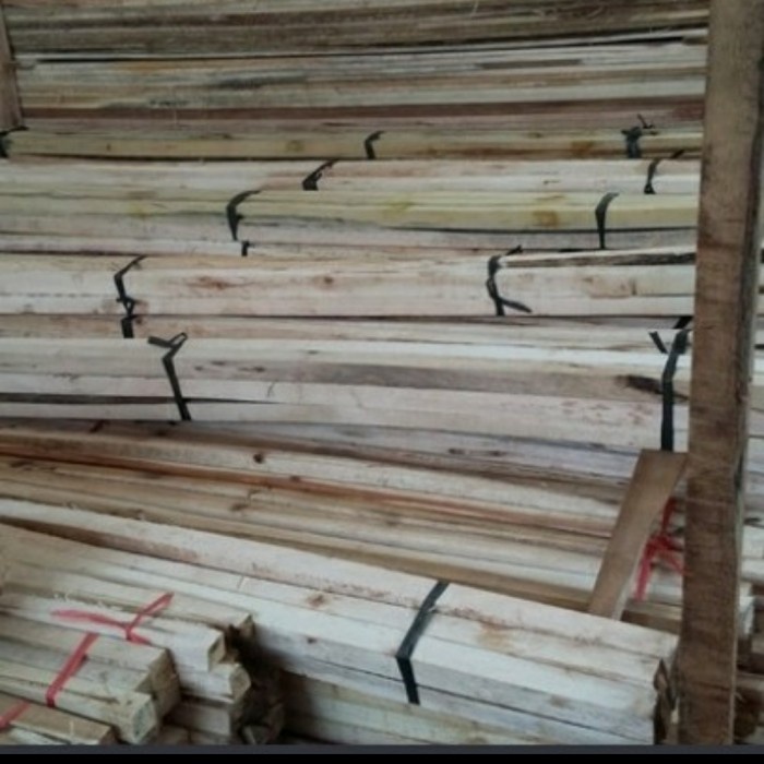 Jual `````````] kayu kaso albasia alba | Shopee Indonesia