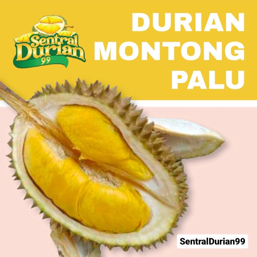 Jual Durian Montong Palu (Dimohon Chat Admin sebelum pembelian ...