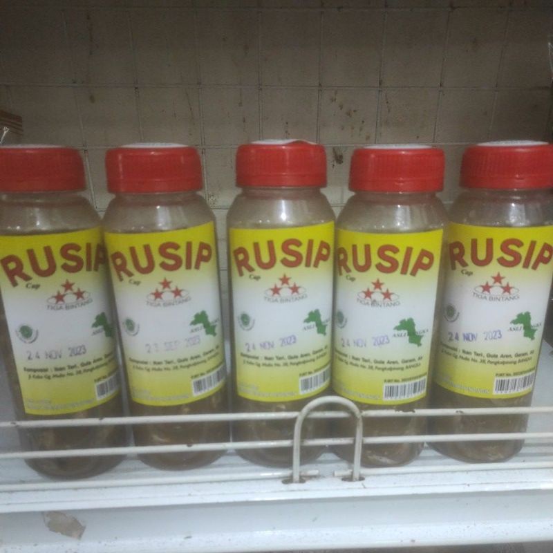 Jual RUSIP 3 BINTANG | Shopee Indonesia