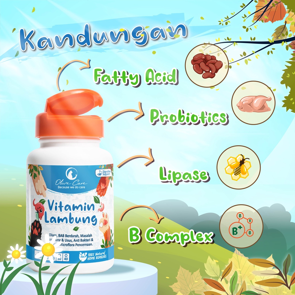 Gambar Produk 5
