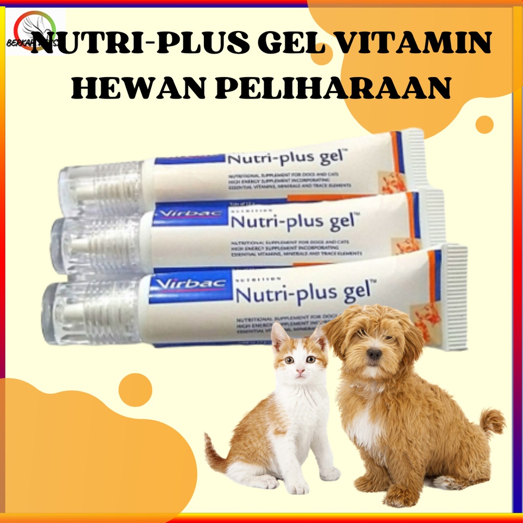 Jual NUTRIPLUS GEL VITAMIN UNTUK KUCING ANJING MENJAGA KESEHATAN ...