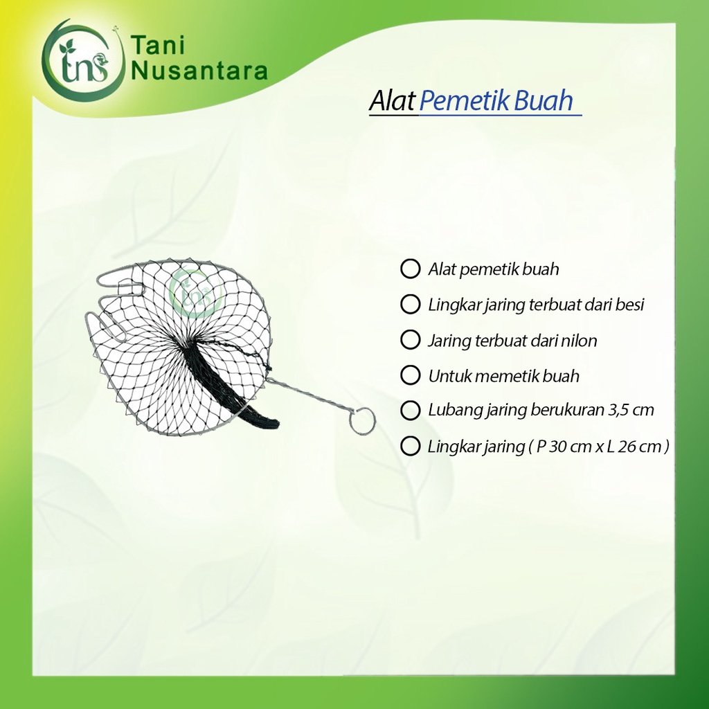 Jual Alat Pemetik Buah / Jaring Serok Buah Siap Pakai – Fruit Picker ...