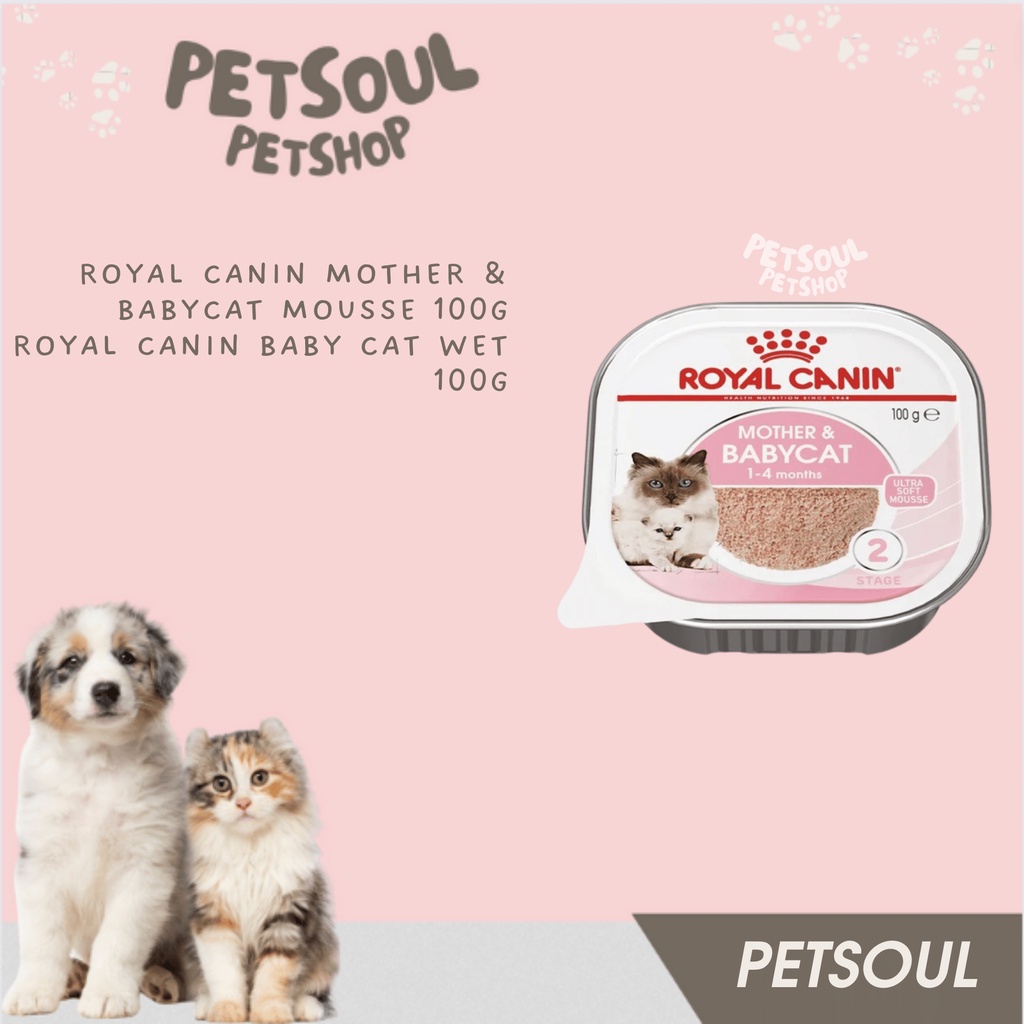 Royal Canin Mother & Baby Cat Mousse