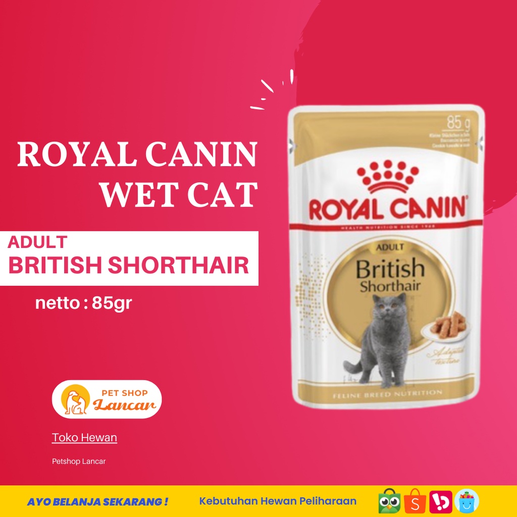 FBN Wet British Shorthair Nassfutter – 85 G Dose, 12 Stück, Für Katzen, Kontrolle Der Harnwege