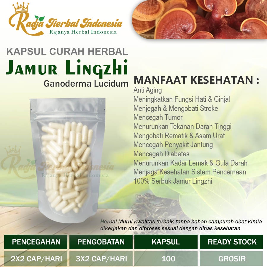 Jual JAMUR LINGZHI Kapsul Herbal Tumor Kanker Stroke Anti Aging 100