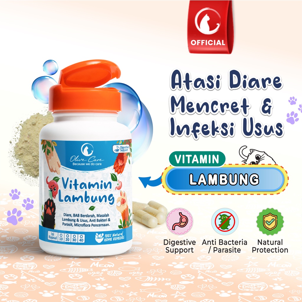 Gambar Produk 2