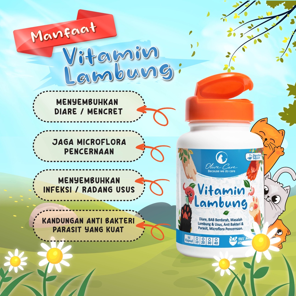 Gambar Produk 3