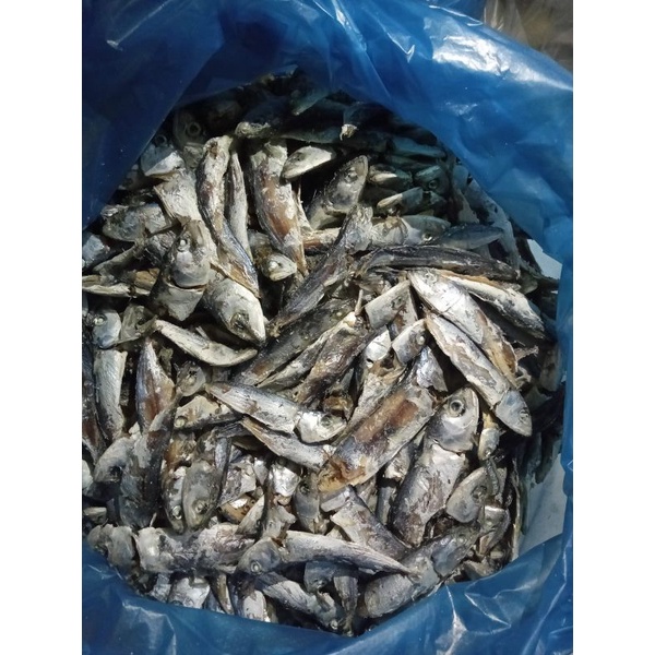 Jual Ikan Gembung Rebus Medan | Shopee Indonesia