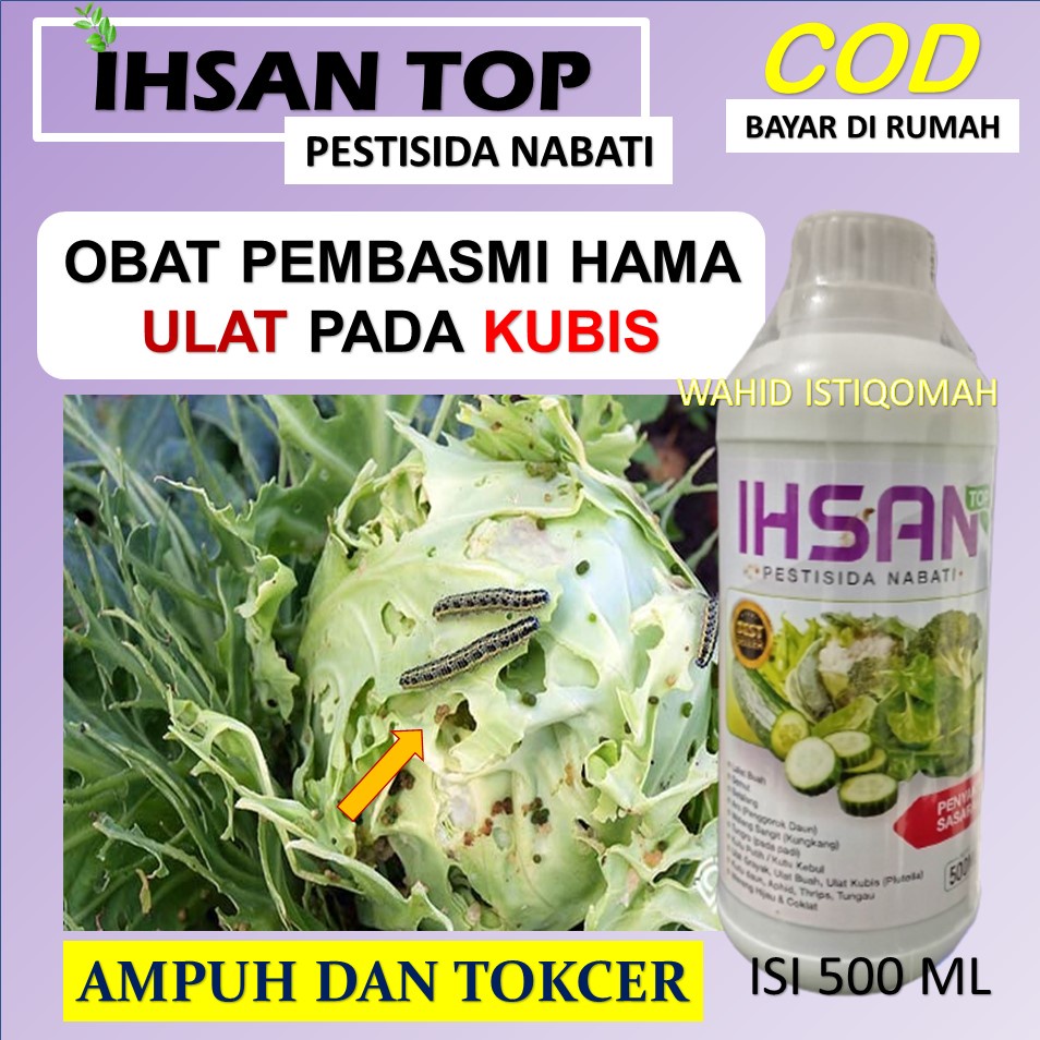 Jual Siap Cod Pestisida Ihsan Top 500 Ml Obat Pembasmi Hama Ulat