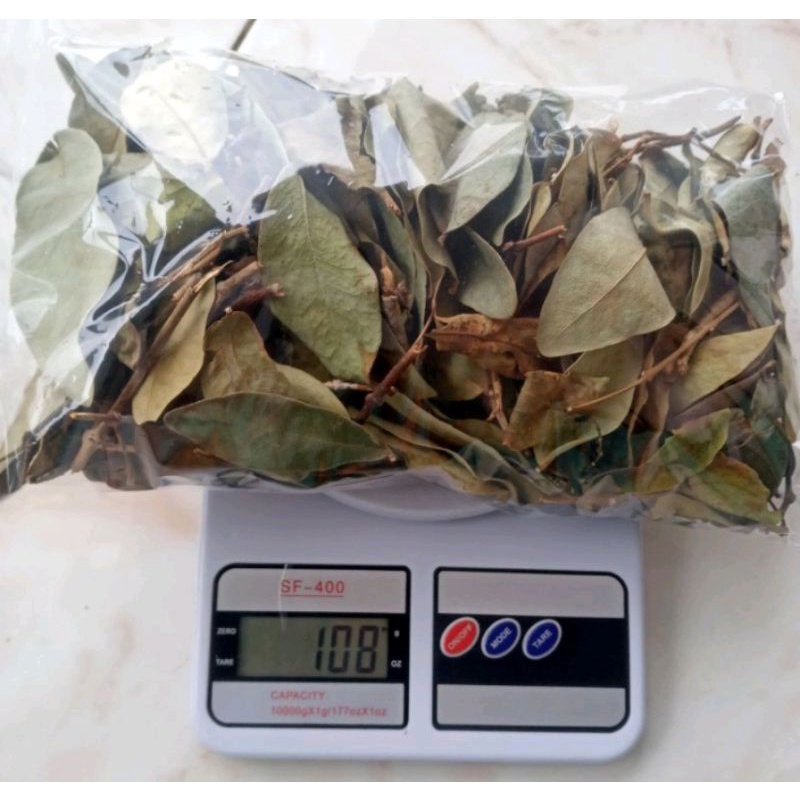 Jual Benalu Pohon Kelor Kering Terbaik 250 Gram Shopee Indonesia