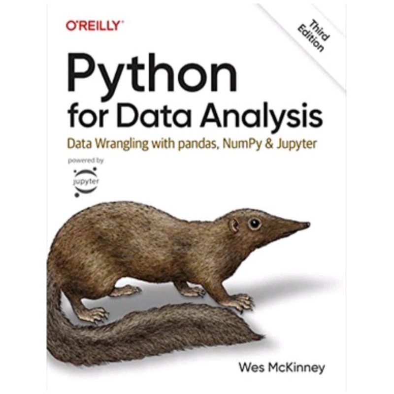 Jual Python For Data Analysis: Data Wrangling With Pandas, NumPy, And ...