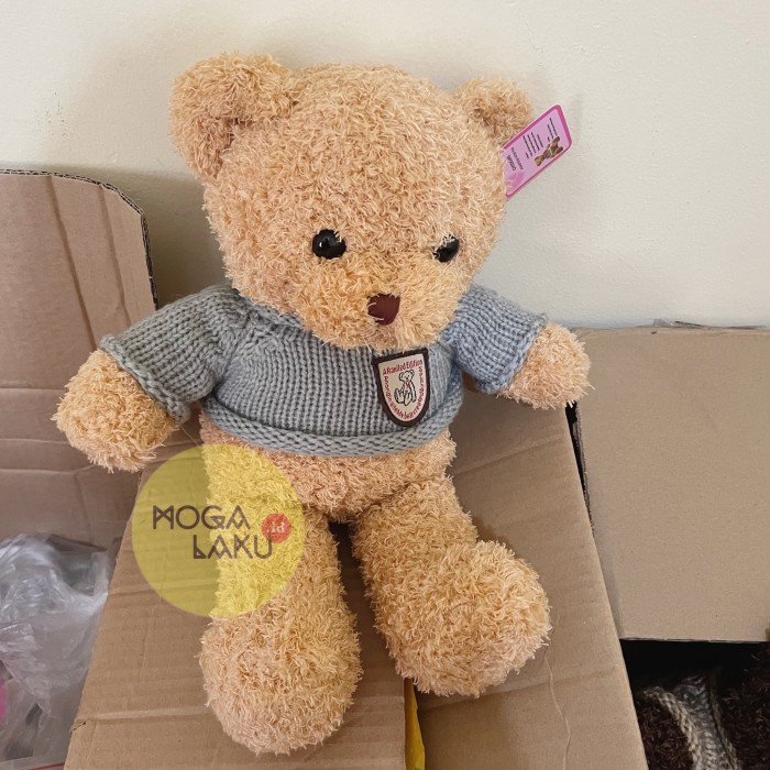 Jual Recording Teddy Bear Boneka Beruang Perekam Suara Shopee Indonesia