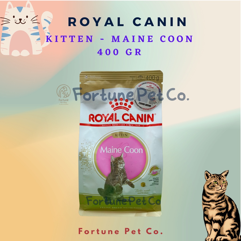 Jual ROYAL CANIN Maine Coon Kitten 400 gram - Makanan Kucing Kering Cat ...