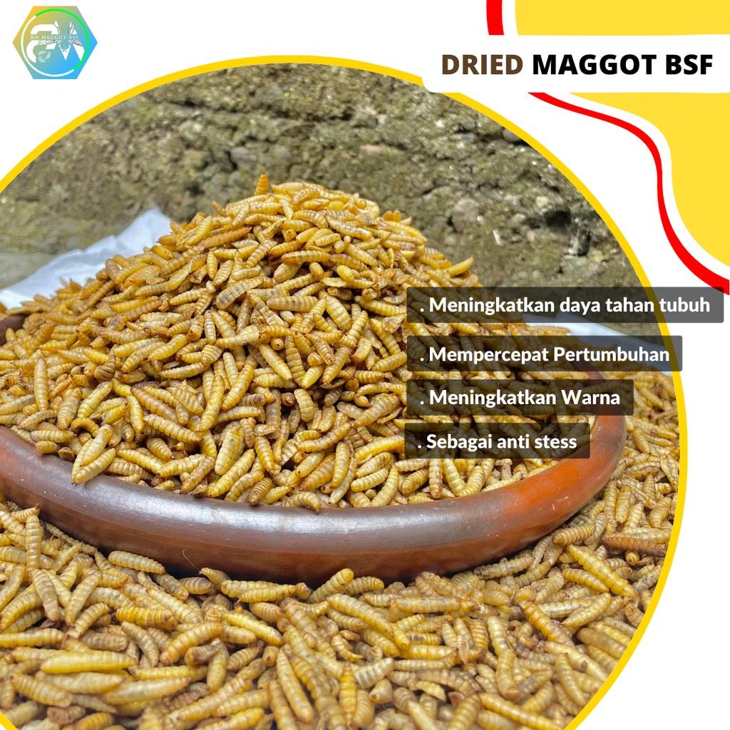 Jual Maggot Kering Dry Maggot Pakan Ikan Chana Oscar Koi Dan Predator Gram Shopee