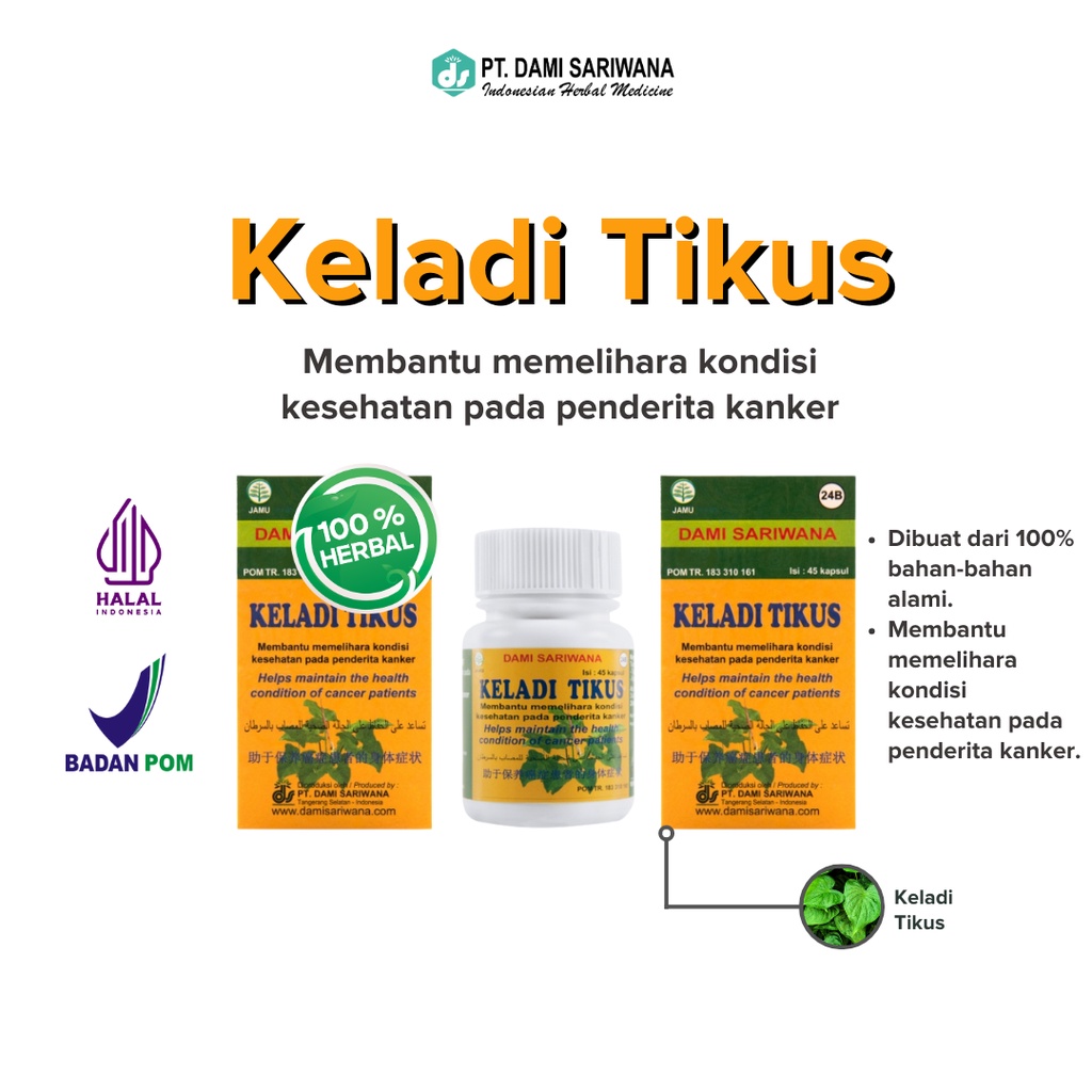 Jamu [TWINPACK] Obat Herbal KELADI TIKUS 45 Kapsul Membantu memelihara kondisi kesehatan pada penderita Kanker