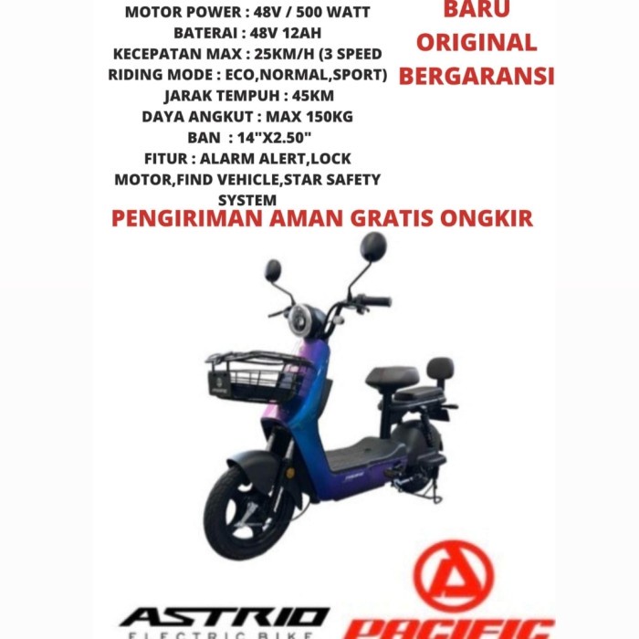 Jual bumbug - Sepeda Listrik PACIFIC ASTRIO Electrik E Bike 500 Watt ...