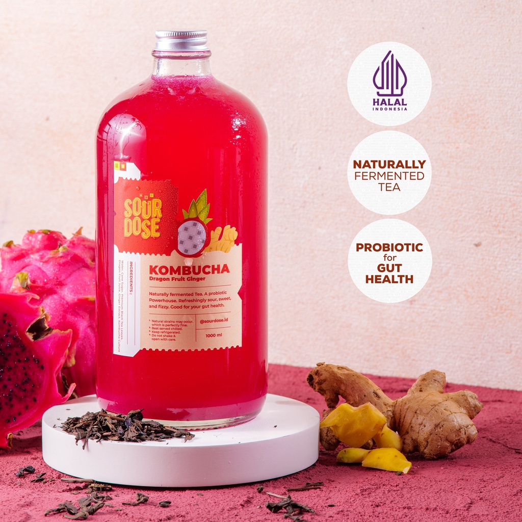 Jual Kombucha Dragon Fruit Ginger 1000ml by Sourdose Shopee Indonesia