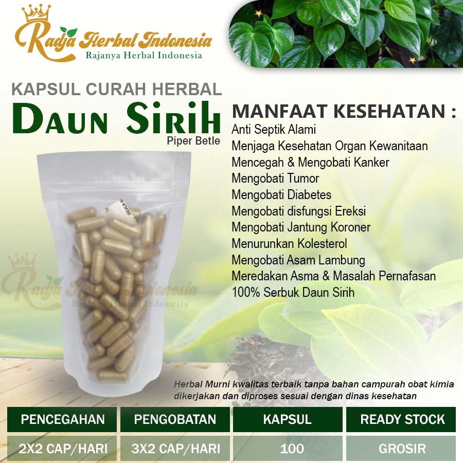 Jual Daun Sirih Kapsul Herbal Antiseptik Prostat Sendi Lambung Jerawat Shopee Indonesia