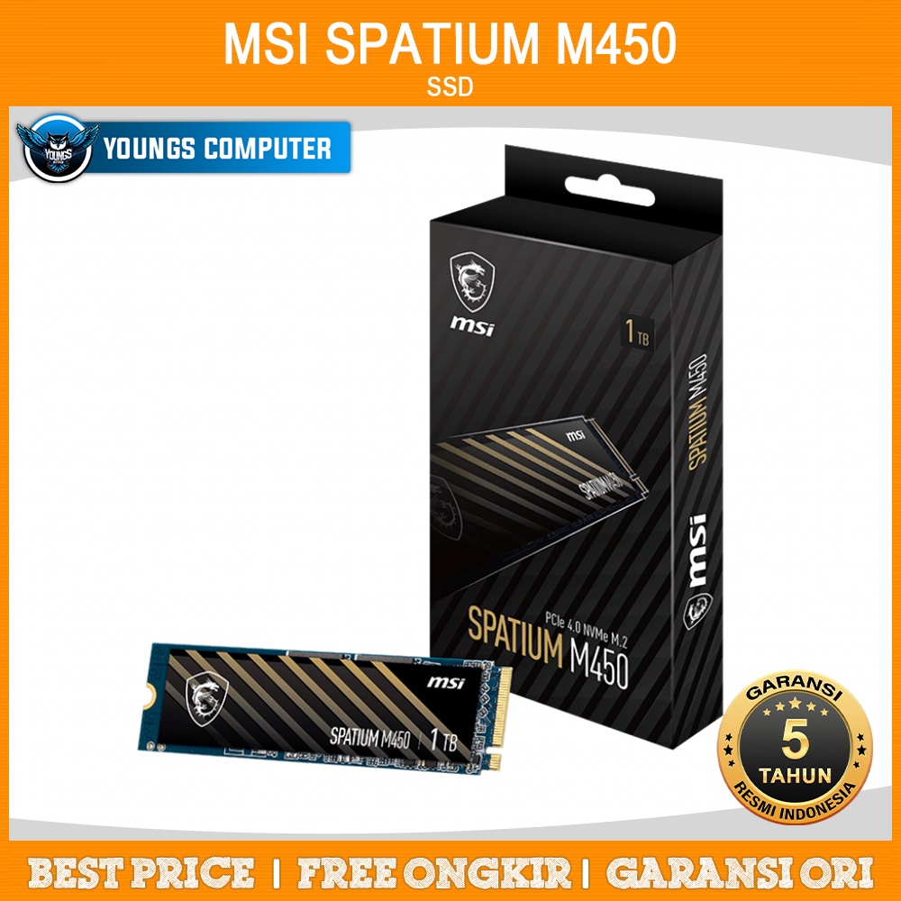 Schnelle NVMe M.2 MSI SPATIUM M450 PCIe 4.0 NVMe M.2 1TB V1 SSD