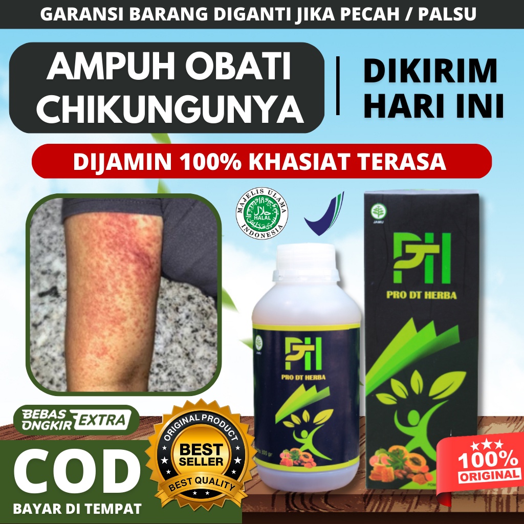 Jual Obat Infeksi Virus Cikungunya/Chikungunya, Jamu Demam Berdarah ...