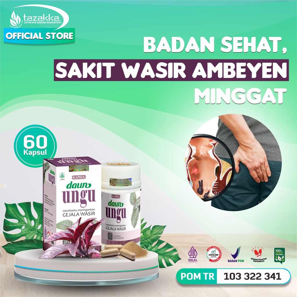 Jual Kapsul Daun Ungu Obat Wasir Original Tazakka Isi Ekstrak Herbal Untuk Ambeien Ambeyen