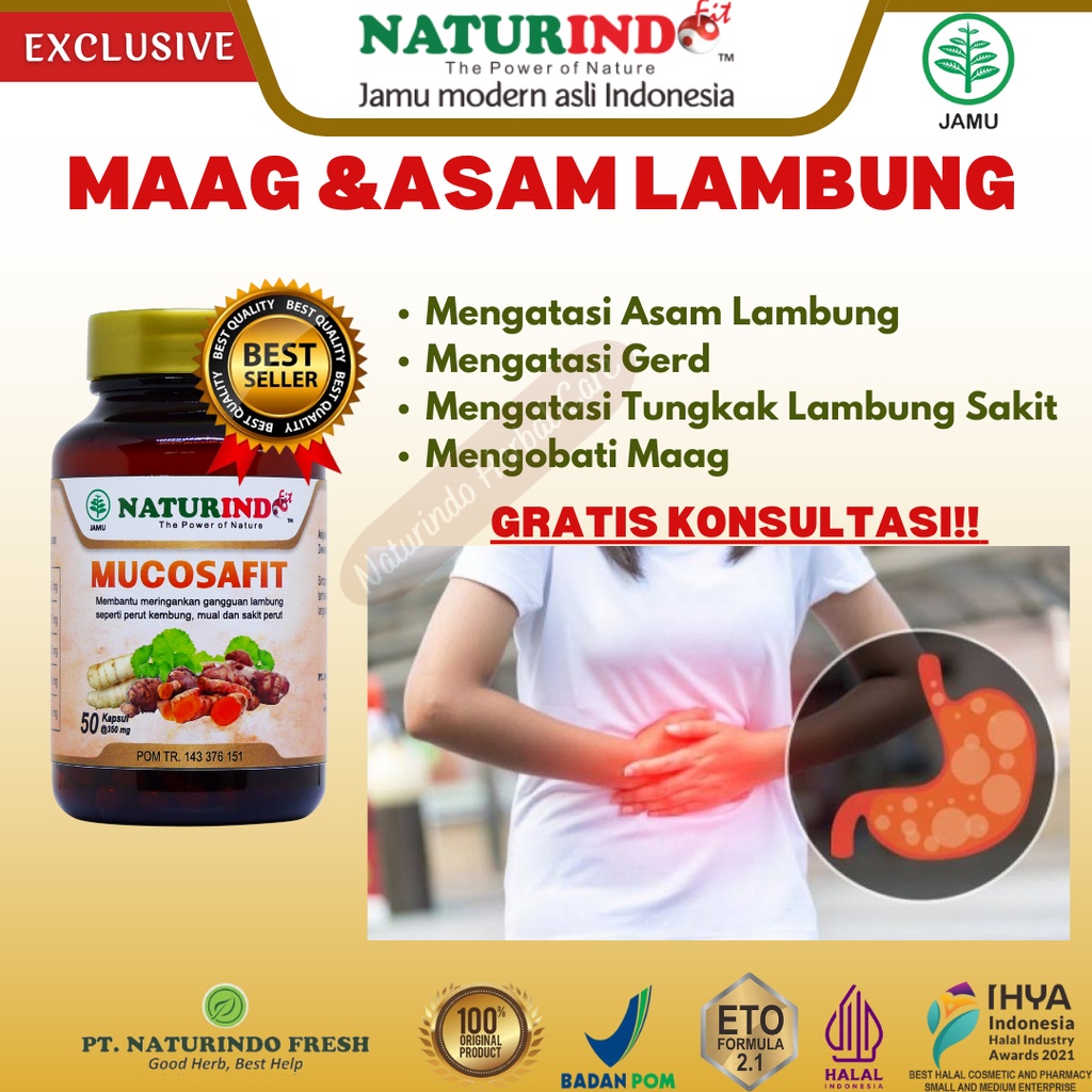 Jual Obat Asam Lambung Maag Magh Mah Gerd Kronis Tungkak Gasthritis ...