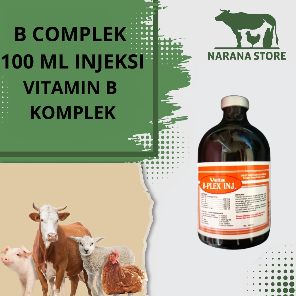 Jual Ready B Complek 500 Ml Injeksi Vitamin B Komplek Injeksi Obat