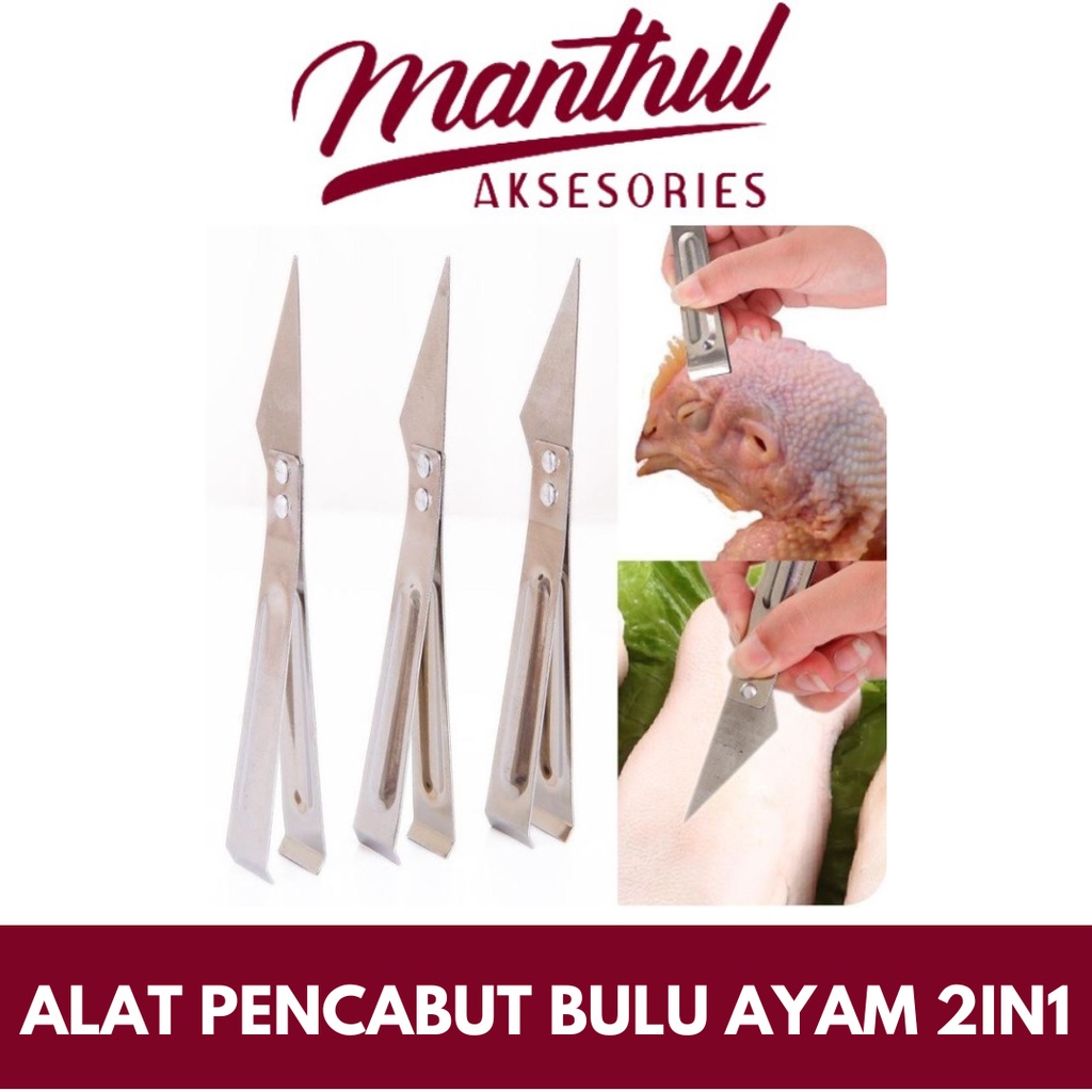 Jual ALAT PENCABUT BULU AYAM 2IN1 STAINLESS PEMBERSIH TULANG IKAN DAPUR ...