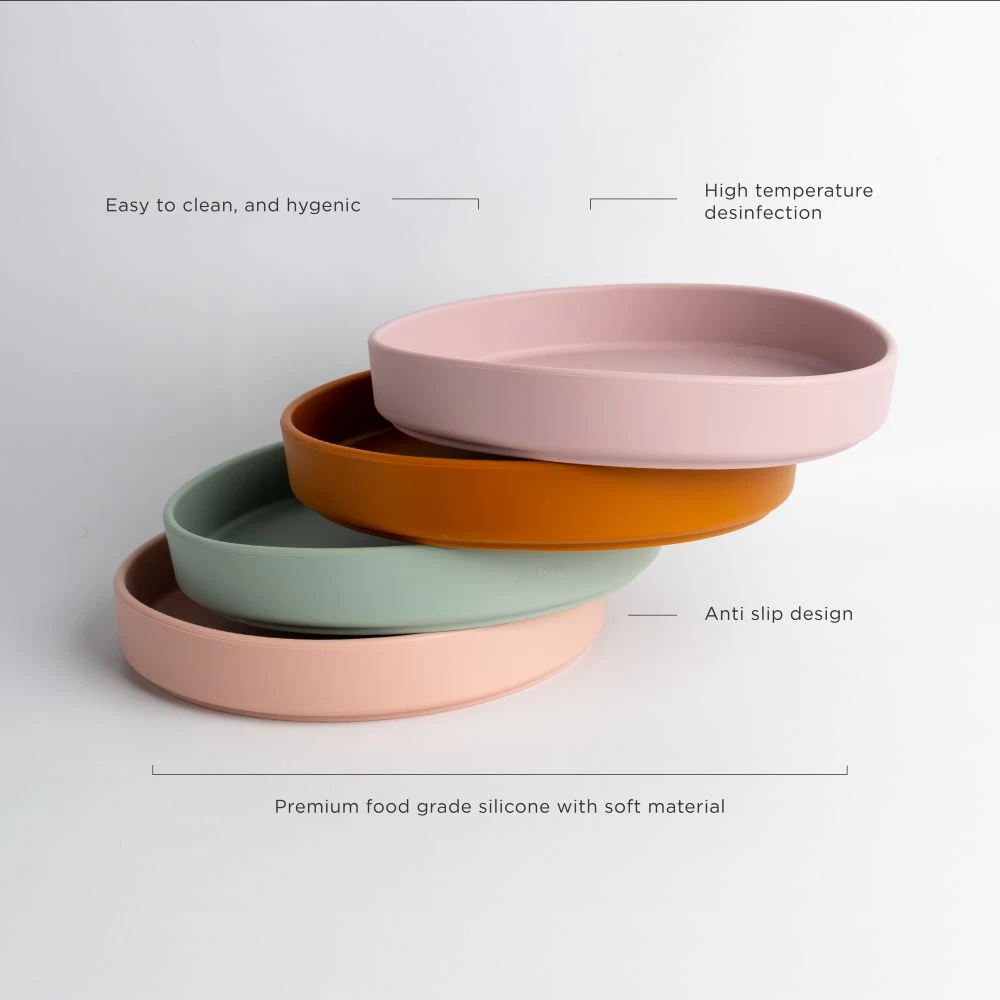 Silicone Plate view 2