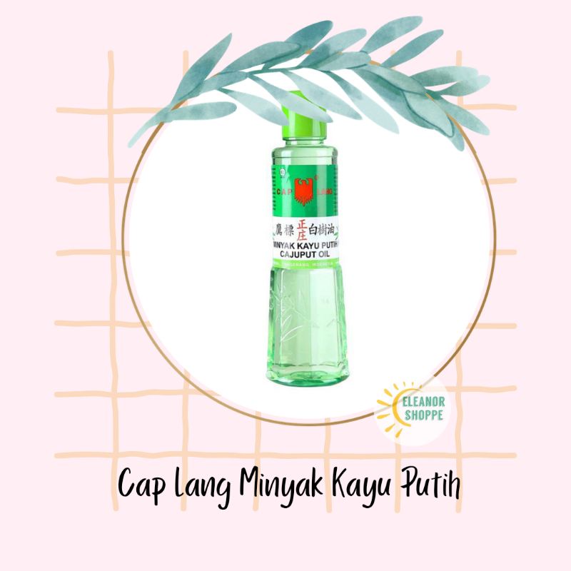 Jual Cap Lang Minyak Kayu Putih - Caplang Cajuput Oil Kecil 60ml, 30ml ...
