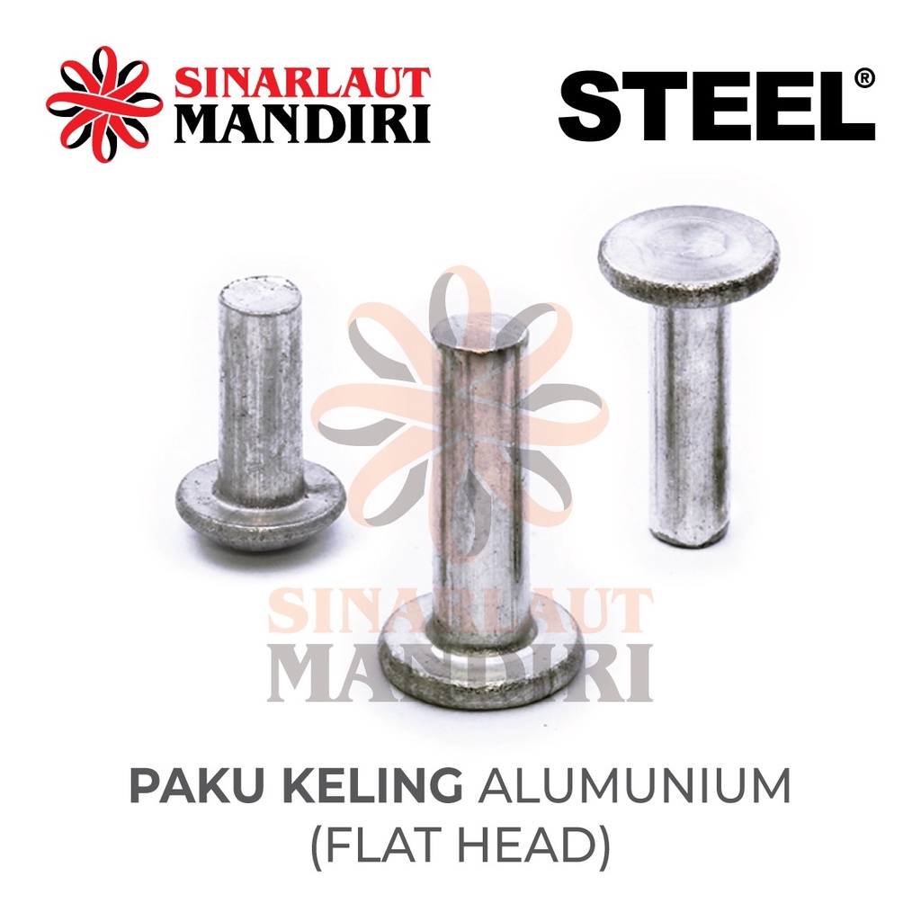 Jual Paku Keling Alm Kepala Rata / Flat Head Alumunium Rivet 3 x 10 ...