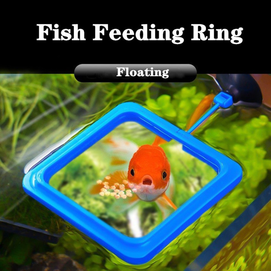 Jual Feeding Ring Tempat Makan Ikan Fish Floating Akuarium Aquarium