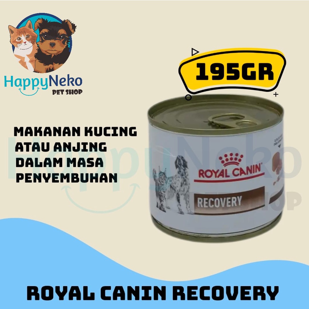 Royal canin recovery untuk cheap kitten