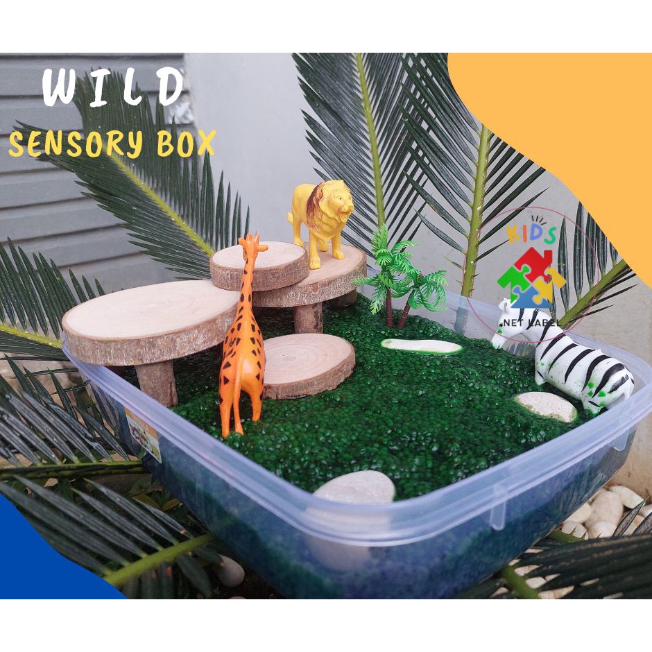 Jual Wild Sensory Box / Sensory Bin / Sensory Play / Hutan / Mainan ...