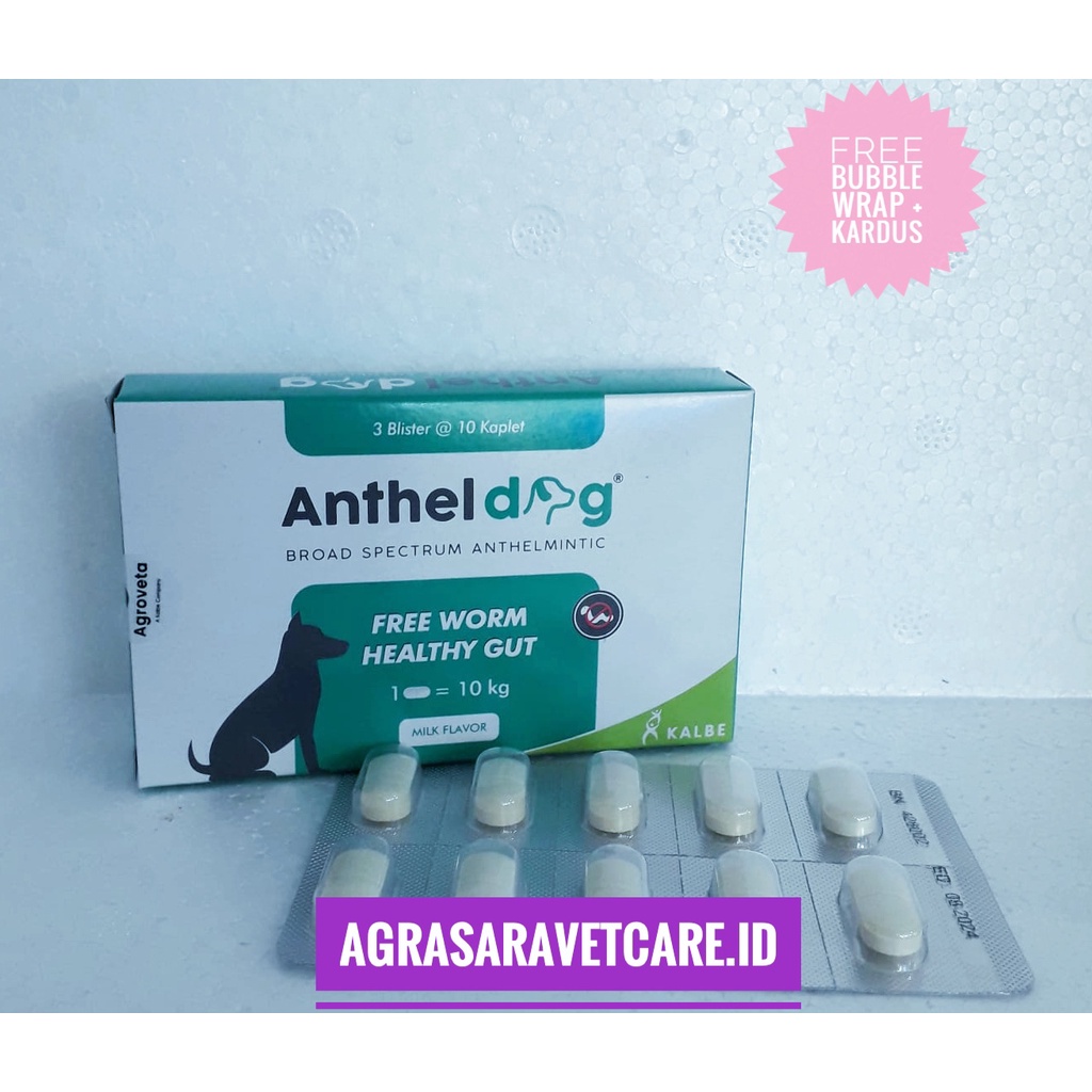 Jual ANTHEL DOG 30 TABLET (KEMASAN BLISTER)- Obat cacing anjing like ...